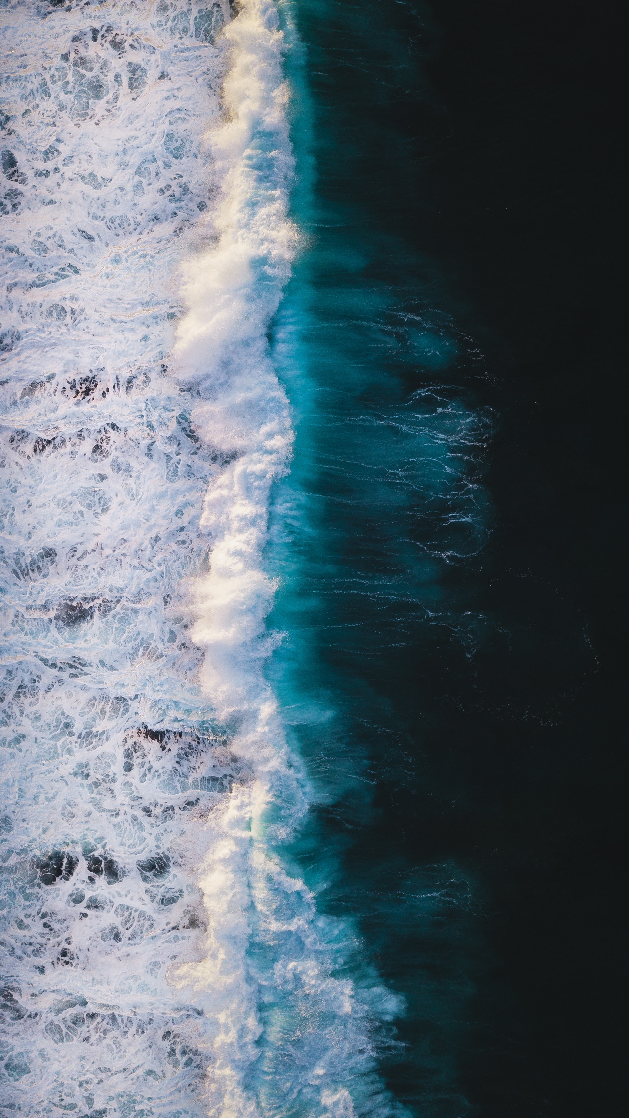 for_dataset1